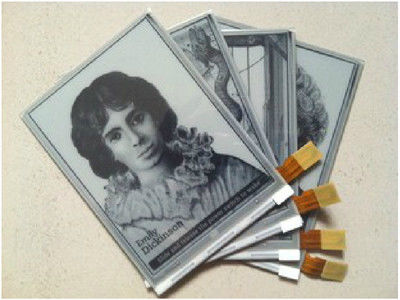 ভালো দাম মূল ৬.০ ইঞ্চি ই-ইঙ্ক ডিসপ্লে ৬০০×৮০০ এসভিজিএ ৩৪ পিন কানেক্টর সহ কিন্ডল ই-পেপার মডিউলের জন্য অনলাইন